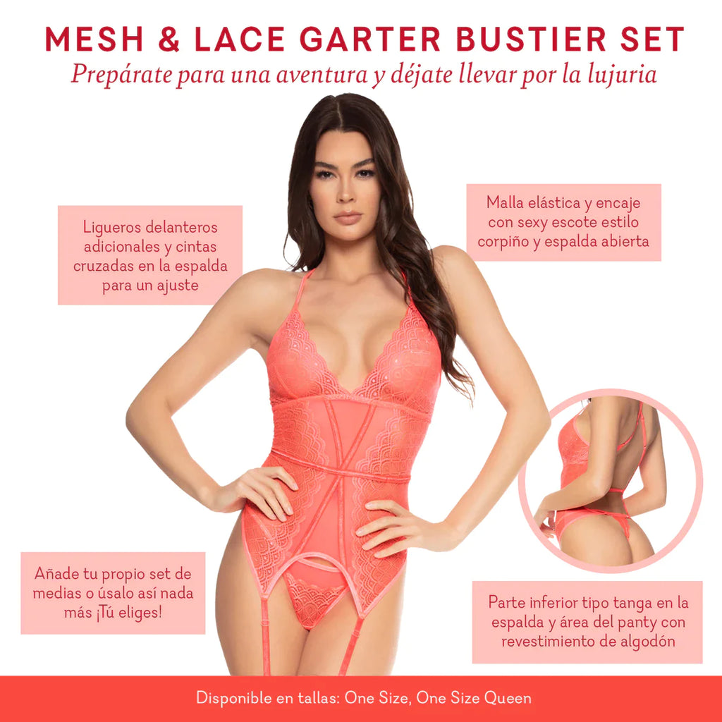 Mesh & Lace Garter Bustier Set